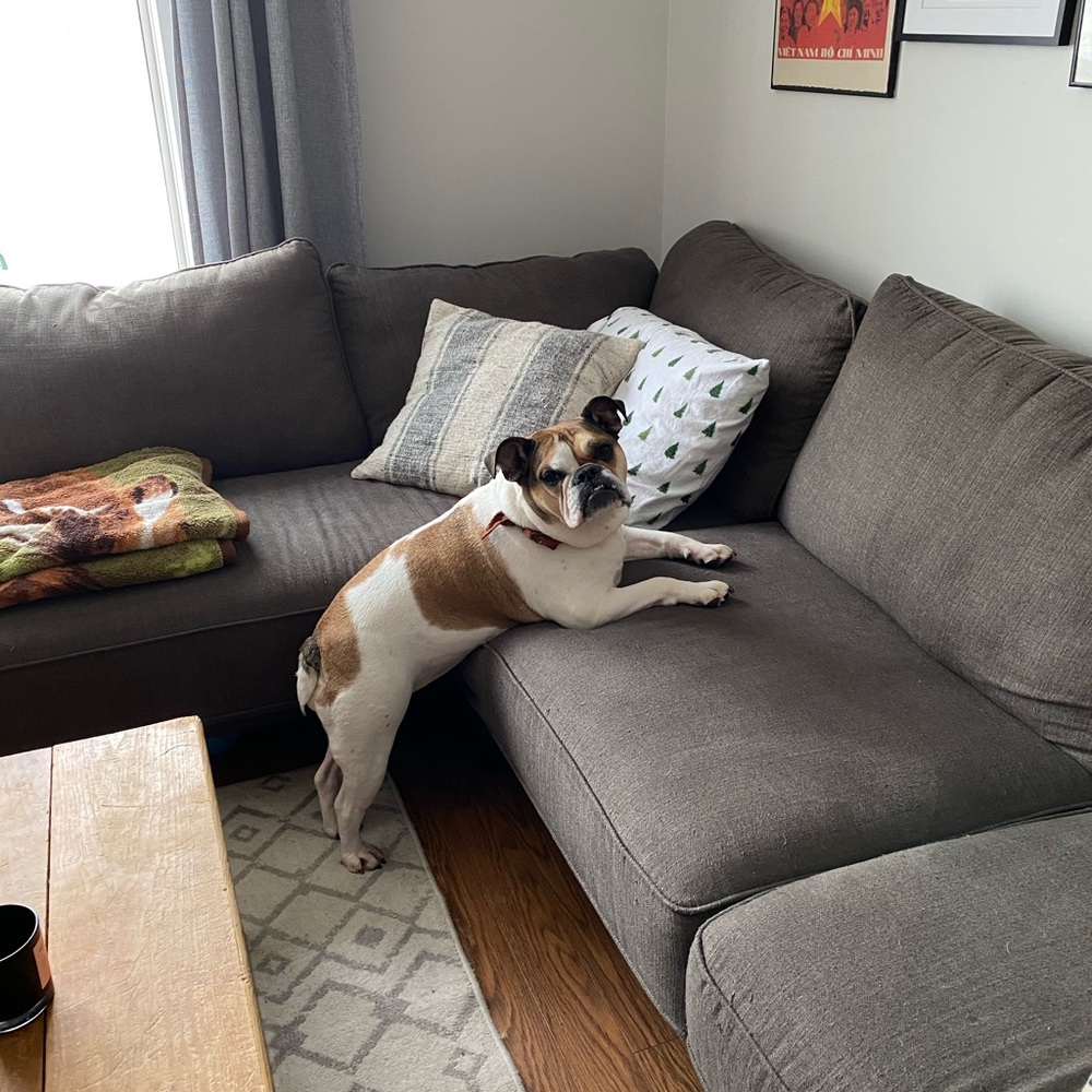 Meet your Posher, Nikki